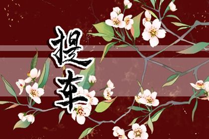 2025年農歷正月二十是不是提車吉日 提車買車吉利嗎