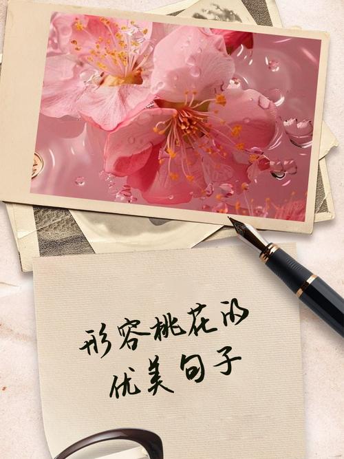 桃花一直不來是因為你沒做些事