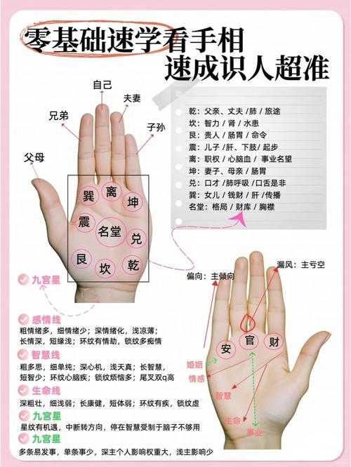 教你學會看手相