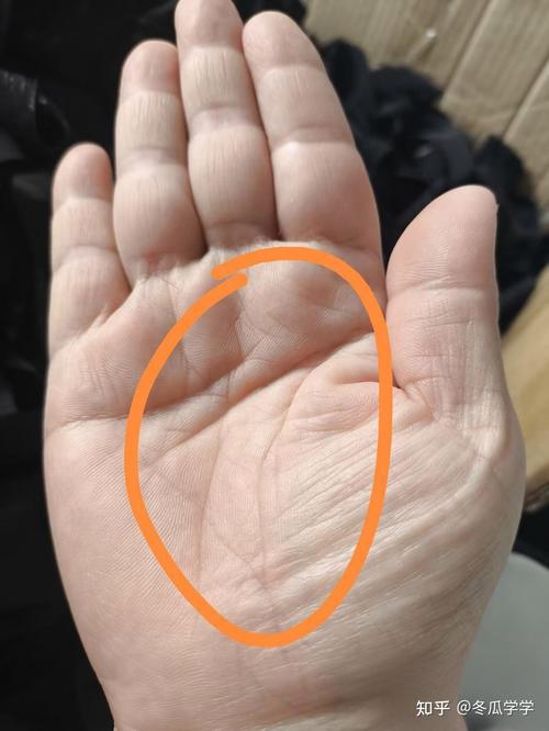 事業(yè)有成的男人手相什么樣