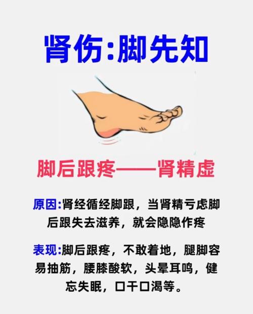 后腳跟不著地為何短命