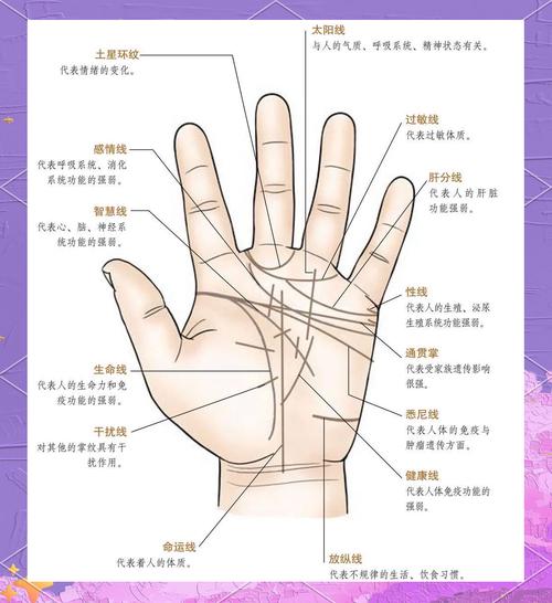 從生命線分析你的性格