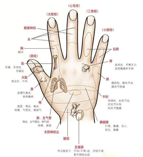 手背痣的位置與命運