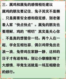 屬兔和屬雞的性格配對 生肖雞和生肖兔配婚如何呢