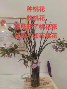 辦公室布局桃花風水早脫單