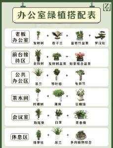 辦公室花卉擺放講究