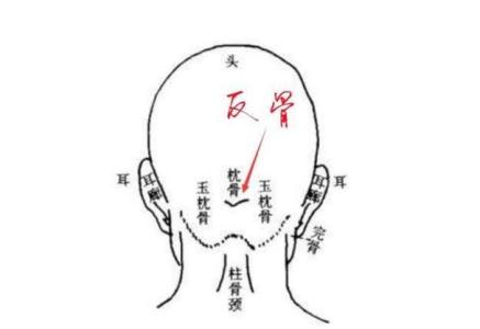 揭秘真正的反骨在哪里