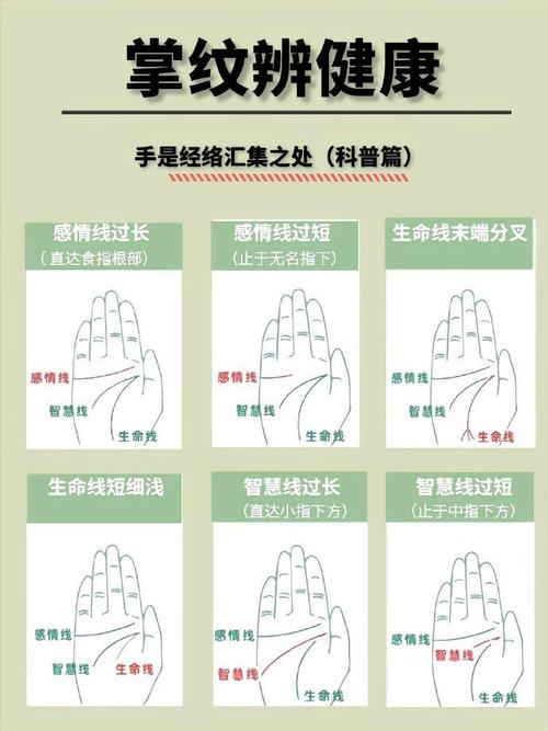 解析手上有希望線的好壞