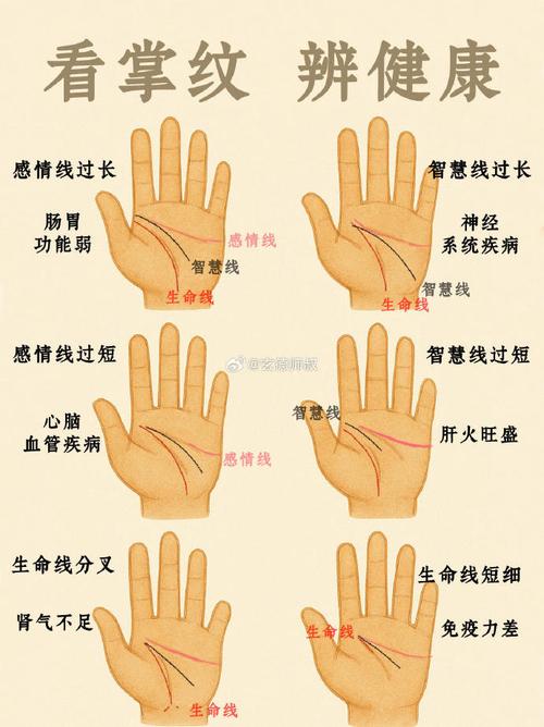 三種命不好的手紋 命不好的手紋特征
