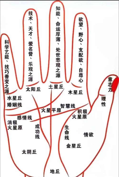通過健康線手相看身體健康狀況好不好