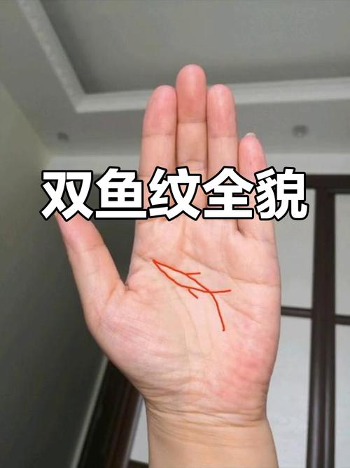 男人手上有雙魚紋好不好
