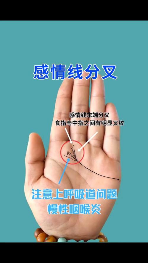 手相感情線分叉