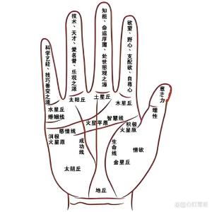 男右手掌有痣圖解大全 有富貴命的痣相