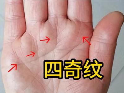 億萬富翁的手相 手相中的奇線