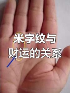 富貴手相米字紋