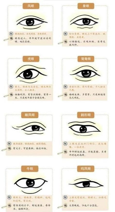 面相分析桃花眼的命運，感情比較波折？