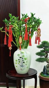 十大鎮宅植物擺件　在家里種了對運勢好