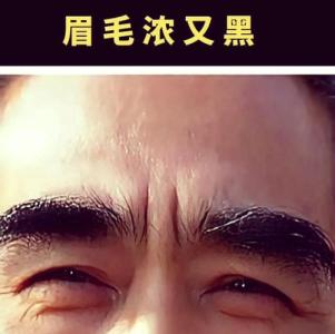 心狠男人面相 眉毛如彎月