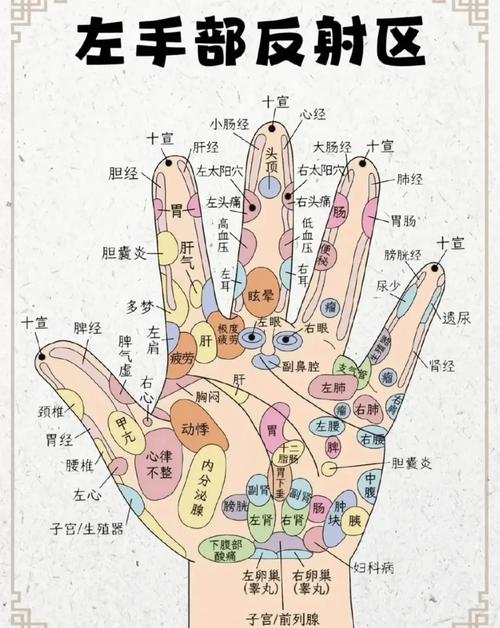 手相與身體健康的關(guān)系