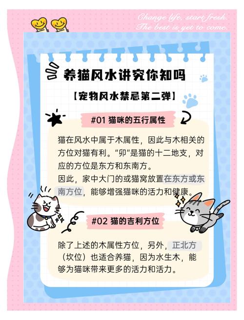 適合養貓的方位在哪里 屬龍的不能養貓嗎