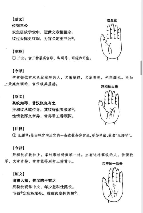 命運與手相的關聯