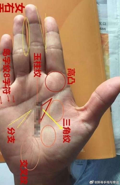食指最長的人財運最好