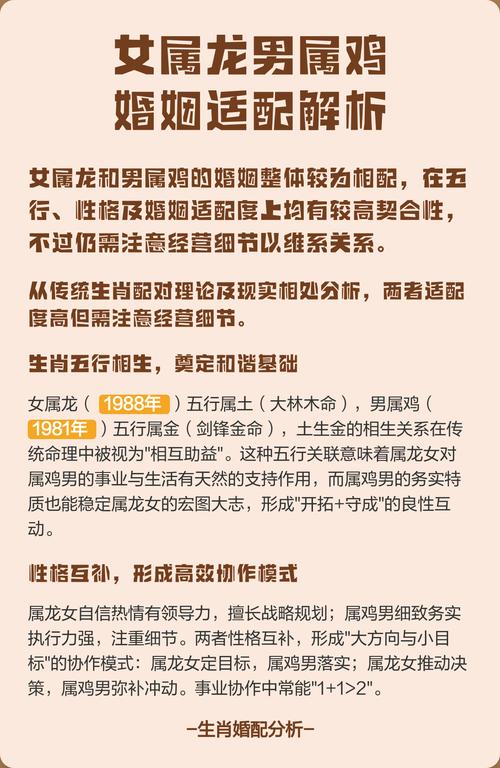 屬雞女性格解析 生肖男龍配生肖雞女合適嗎