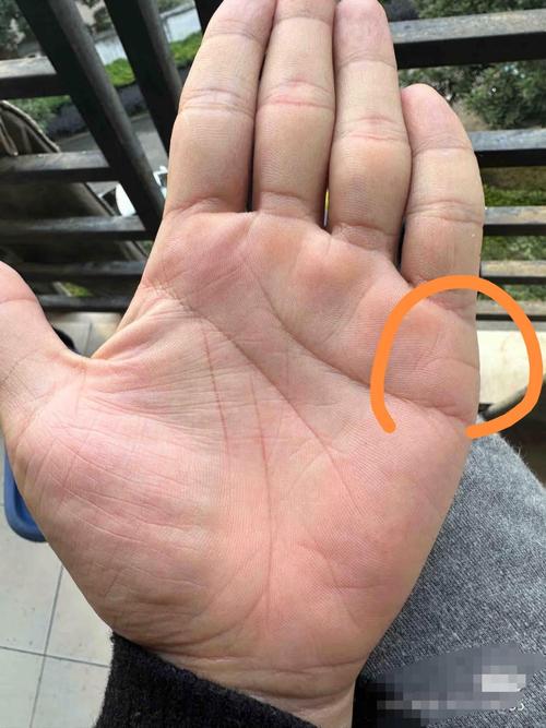 容易出軌的手相男