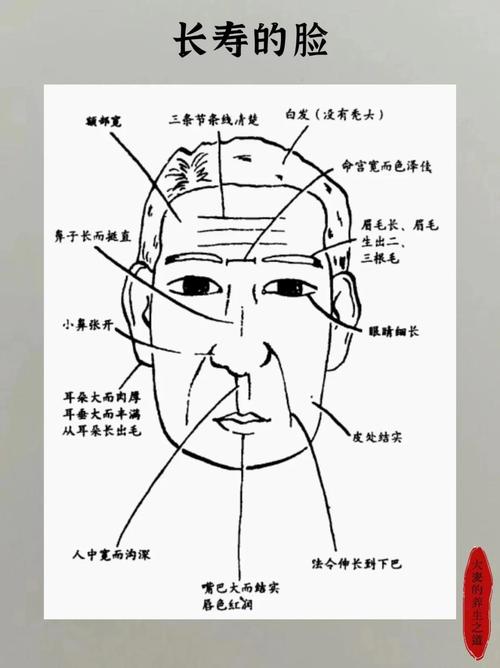 富貴長壽之人的面相