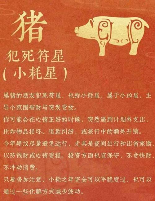 屬豬人龍年的運勢怎么樣 屬豬人的性格和優缺點