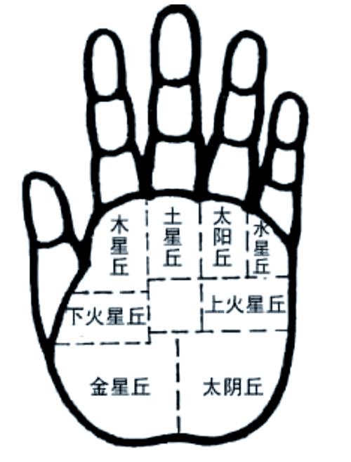 手掌星丘看今生運(yùn)勢(shì)