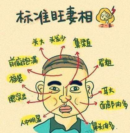 靠老婆發(fā)達(dá)的男人面相