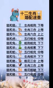 屬鼠男和屬兔人的婚姻分析 屬鼠男配生肖豬還是生肖兔