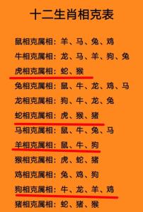 屬兔人2024年和哪些屬相不合 2024年屬兔人要遠離的生肖