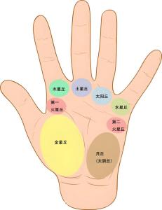 掌紋看你是否注定成為剩斗士