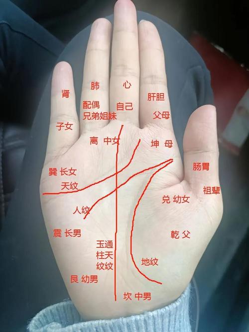 女人3種很有福氣的手相如何看