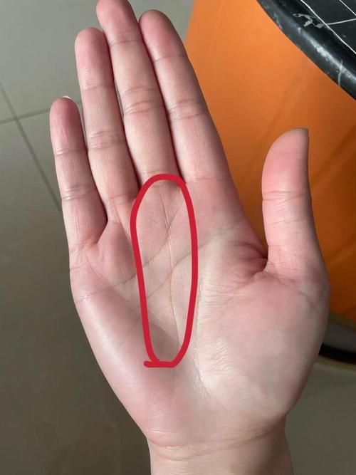 有通天紋的女人罕見 手上有通天紋好不好