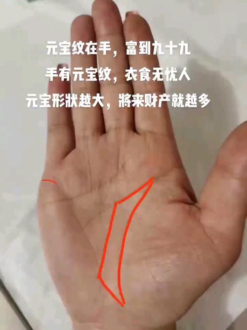 一輩子不缺錢的手相 手中有元寶紋聚財能力強