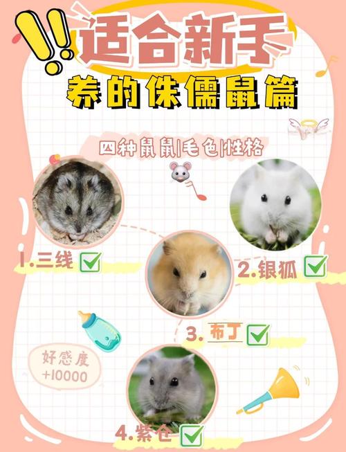 羊爸鼠媽能生鼠寶寶嗎 家庭氛圍溫馨好運(yùn)降臨