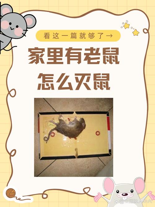 牛爸爸鼠媽媽生鼠寶寶合不合  鼠寶寶體諒父母善于溝通
