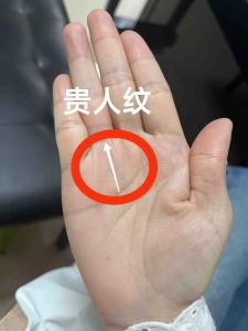 神仙下凡的手相 貴人紋清晰可見