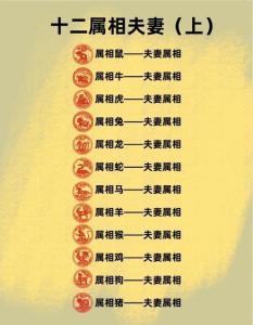 屬虎馬的爸爸屬龍的媽媽能生鼠寶寶 家庭和睦氣氛好