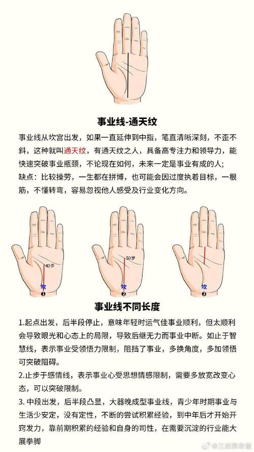手相沒有事業線