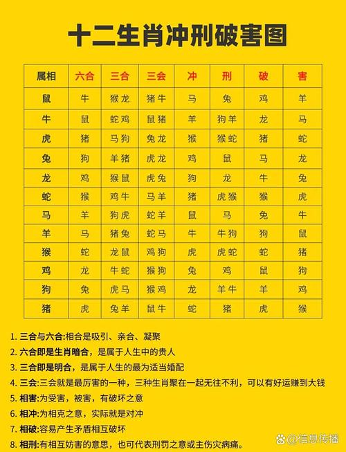 今日屬相沖什么 2024年6月9日生肖相沖