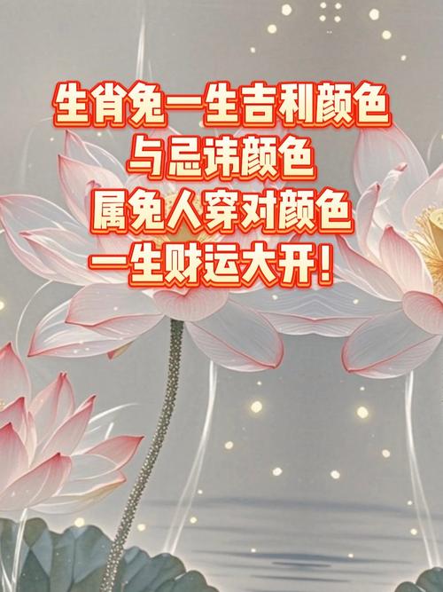 2024屬兔的大忌顏色 屬兔的幸運色是什么顏色2024