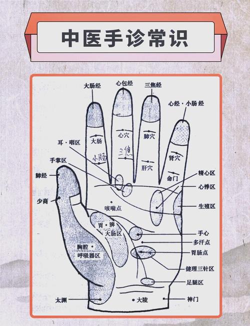 手相看病，手相看病圖解