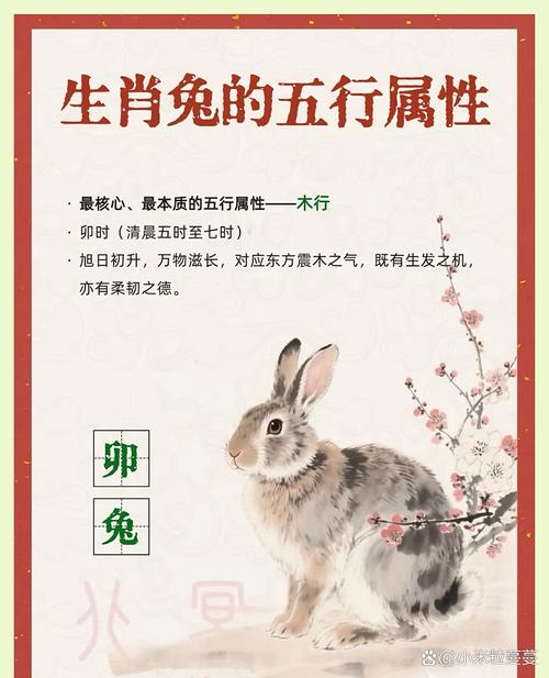 卯兔分為哪五種命 出林之兔是屬于什么命