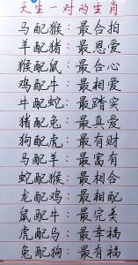 屬羊和屬豬 生肖屬羊的跟什么生肖最配