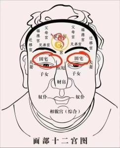 田宅宮長痣代表什么