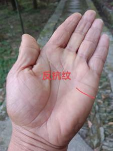 手掌中的輔助紋線——反抗紋